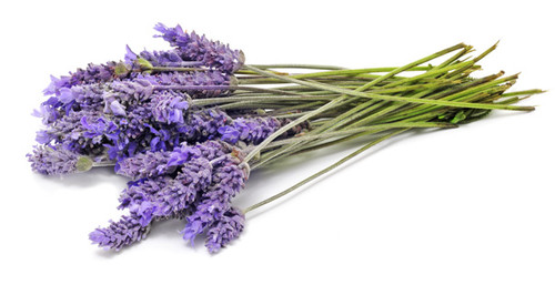 Lavender Essential Oil
