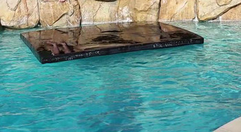 Savior Cover Pool Floating Custom LG 32 x 24 x 4 Savior Cover Pool Floating Custom LG 32 x 24 x 4