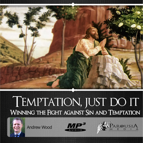 Temptation, just do it! MP3