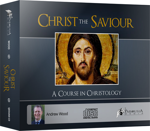 Christ the Saviour: A Course on Christology