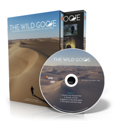 The Wild Goose - 4PM Media - (DVD SET)