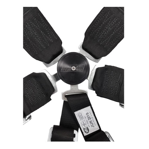 5-Point V Style Restraint with Kam Lock 5-Point V Style Restraint with Kam Lock