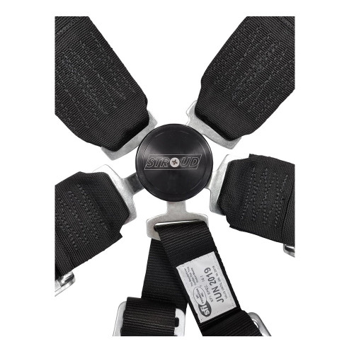 6-Point RJ Design V Style Restraint with Kam Lock 6-Point RJ Design V Style Restraint with Kam Lock