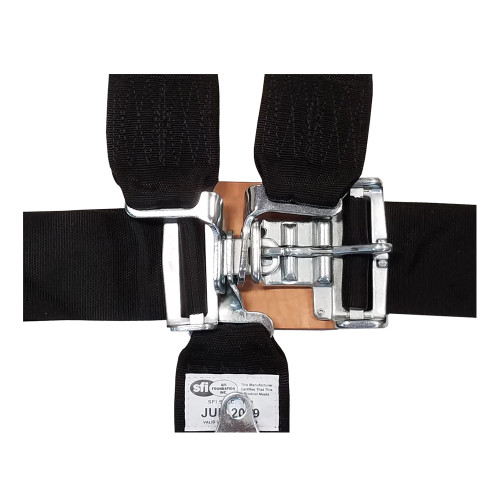 5-Point V Style Restraint with Latch and Link 5-Point V Style Restraint with Latch and Link