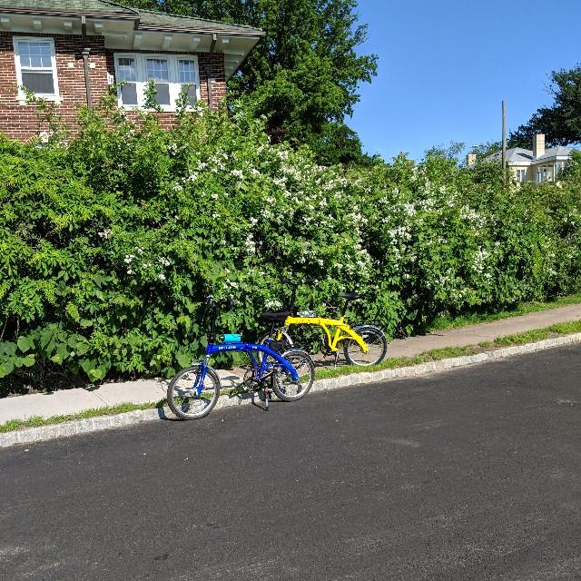 A pair of 8H bikes