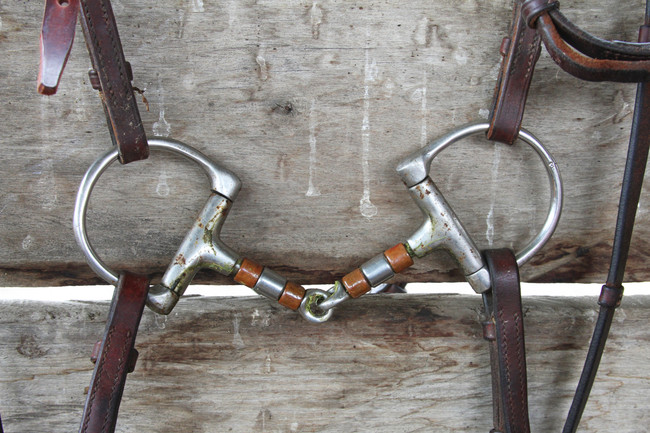 Getting with the times - Your guide to Bitting in the 21st Century