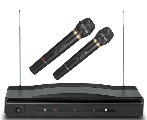 Wireless Mic MC-2 2 Mics