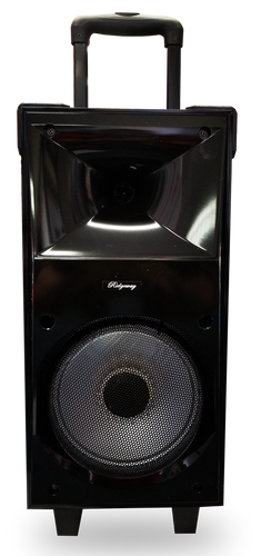 QS-822 Wireless Speakers Black