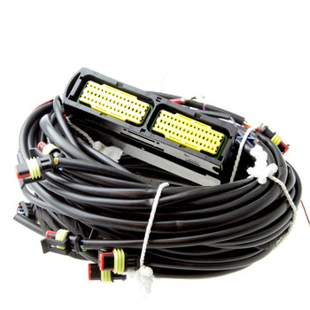 AC STAG QMAX 6CYL Wiring Loom AC STAG QMAX 6CYL Wiring Loom