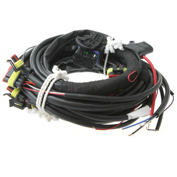 AC STAG 200 GoFast Wiring Loom AC STAG 200 GoFast Wiring Loom
