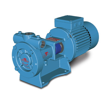 Ebsray RC25 - Regenerative Turbine Pump for LPG Ebsray RC25 - Regenerative Turbine Pump for LPG