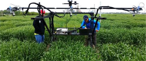 Apogee Infrared Radiometer being used for phenotyping