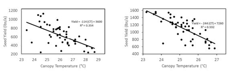 crop yield vs temp