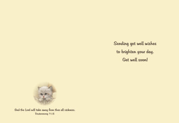 KJV Boxed Cards - Children's Get Well, Fuzzy Friends by Heartwarming Thoughts KJV Boxed Cards - Children's Get Well, Fuzzy Friends by Heartwarming Thoughts