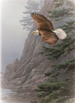KJV Boxed Cards - Sympathy, On Eagle's Wings by Heartwarming Thoughts KJV Boxed Cards - Sympathy, On Eagle's Wings by Heartwarming Thoughts