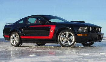 Ford Mustang Side Custom Stripes 3M FASTBACK 1 2005-2009 Ford Mustang Side Custom Stripes 3M FASTBACK 1 2005-2009