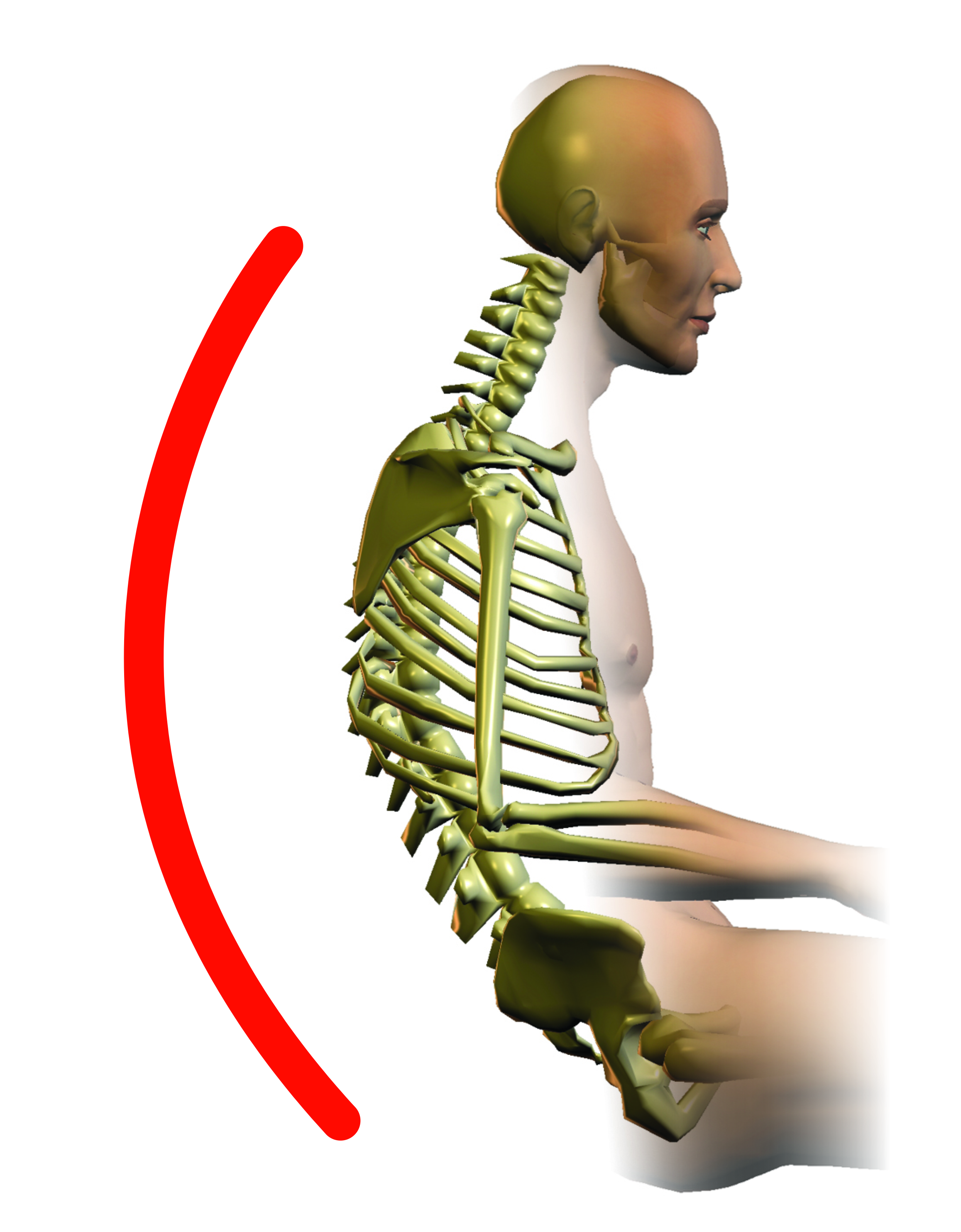 https://cdn7.bigcommerce.com/s-26fm838/product_images/uploaded_images/slumped-spine-thumbnail.jpg