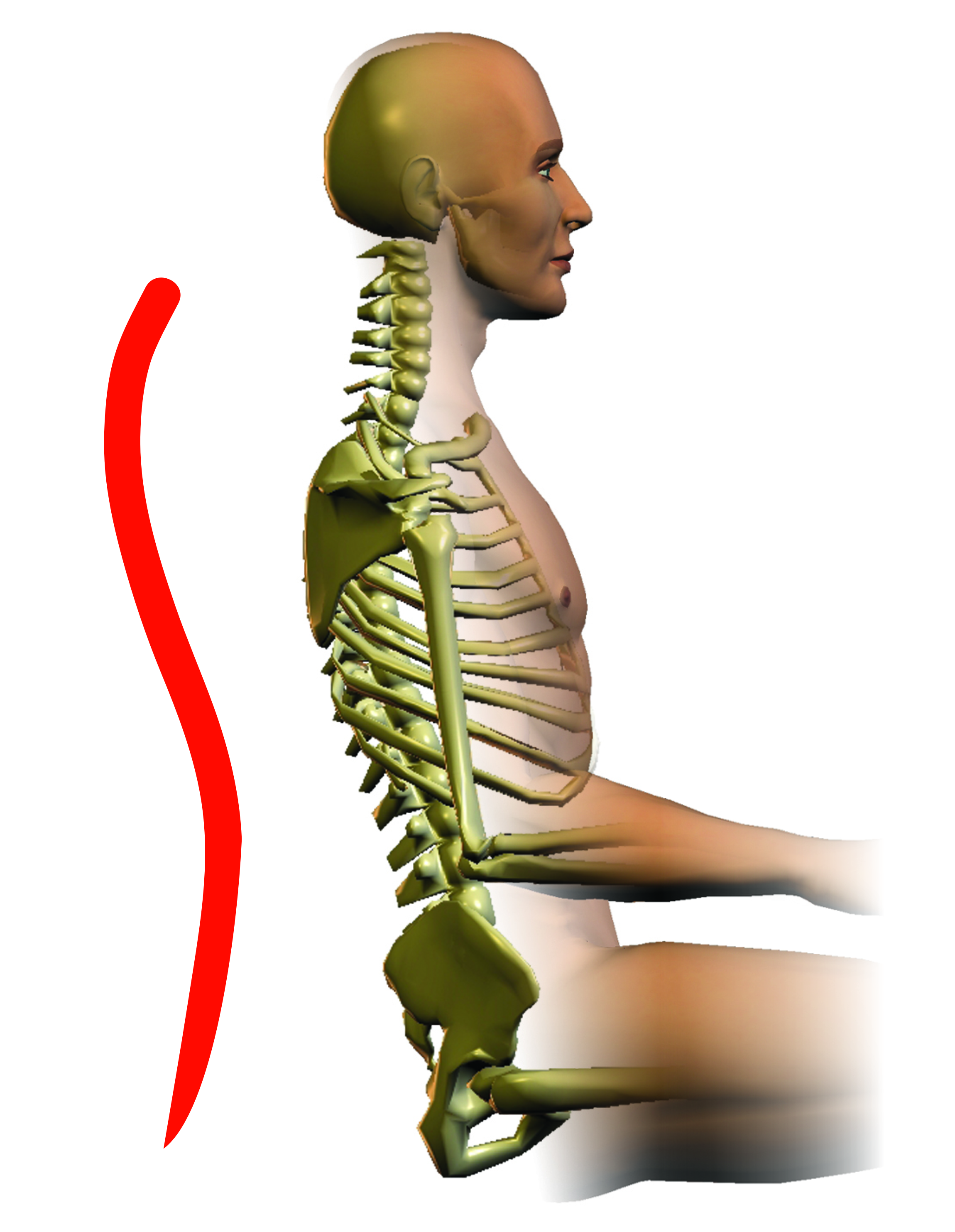 https://cdn7.bigcommerce.com/s-26fm838/product_images/uploaded_images/upright-spine-thumbnail.jpg