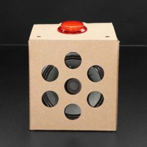 Google AIY Voice Kit for Raspberry Pi Google AIY Voice Kit for Raspberry Pi