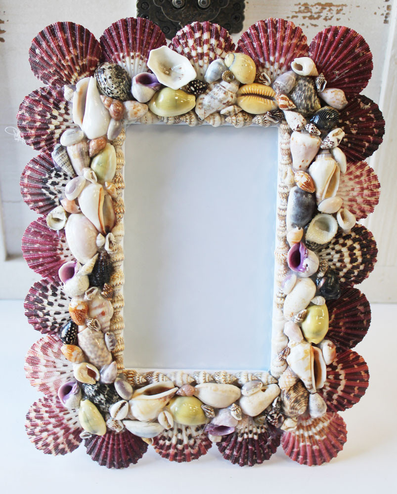 Multi Color Seashell 3 5 X 5 Picture Frame Coastal Beach Home Decor 