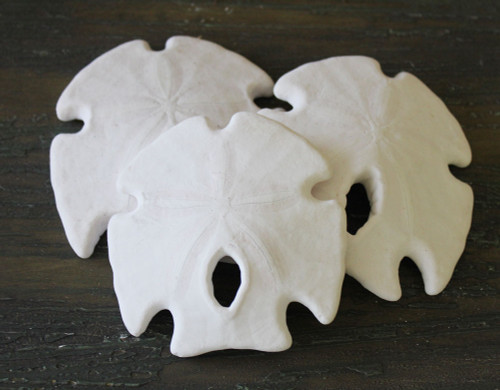 Arrowhead Sand Dollar 3-3.5"