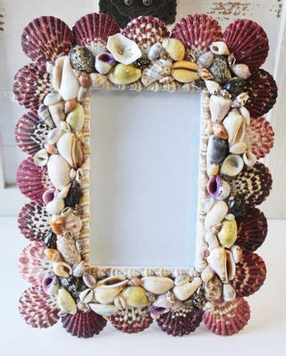 Multi-Color Seashell 3.5 x 5 Picture Frame