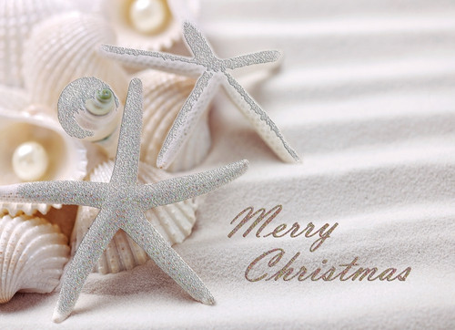 Seashells & Pearls Glitter Card