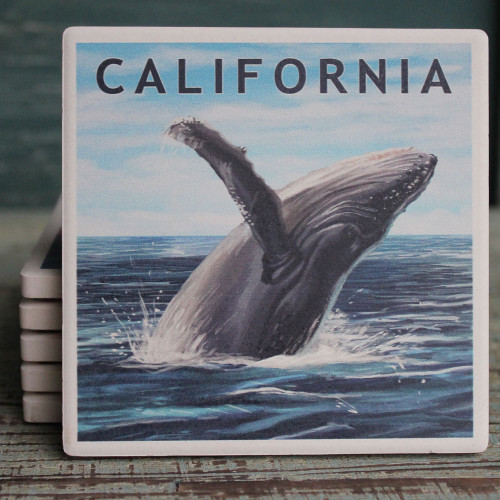 California Humpback Whale Coaster