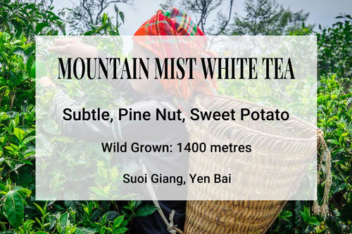 Mountain Mist Tea