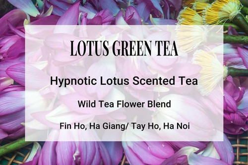 Lotus Green Tea