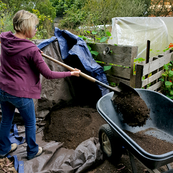 Shoveling Compost