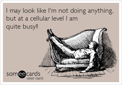 at the cellular level I'm quite busy