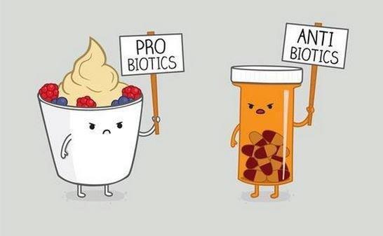 anti-pro-biotics.jpg