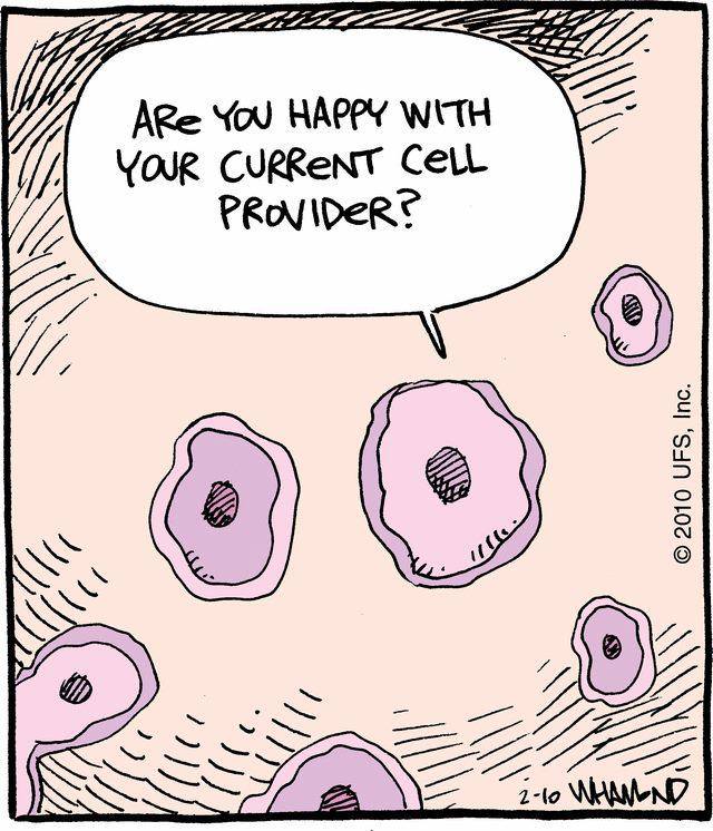 cell-provider.jpg