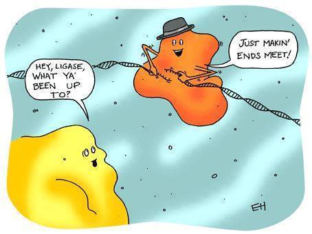 Funny Science Jokes: Laughs for Scientists