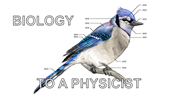 facebook-sj-bird-physicist.jpg