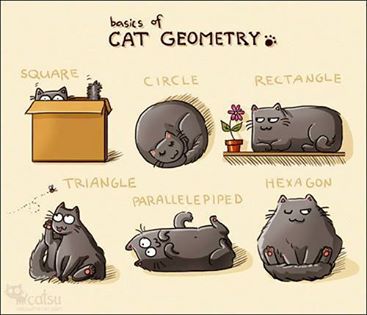 geometirc-cats.jpg