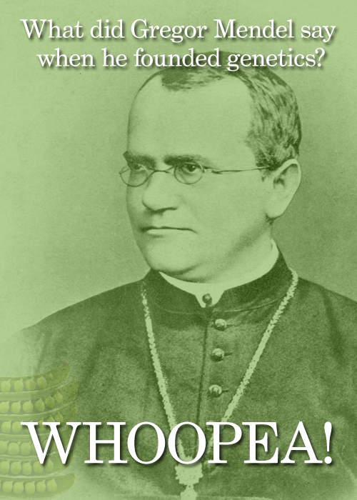 gregor-mendel.jpg