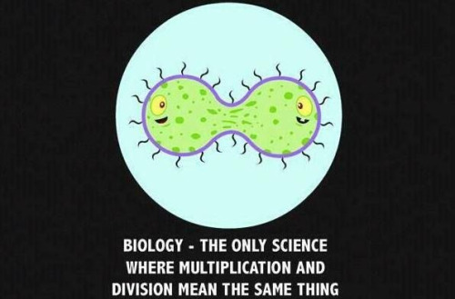 mitosis-joke.jpg