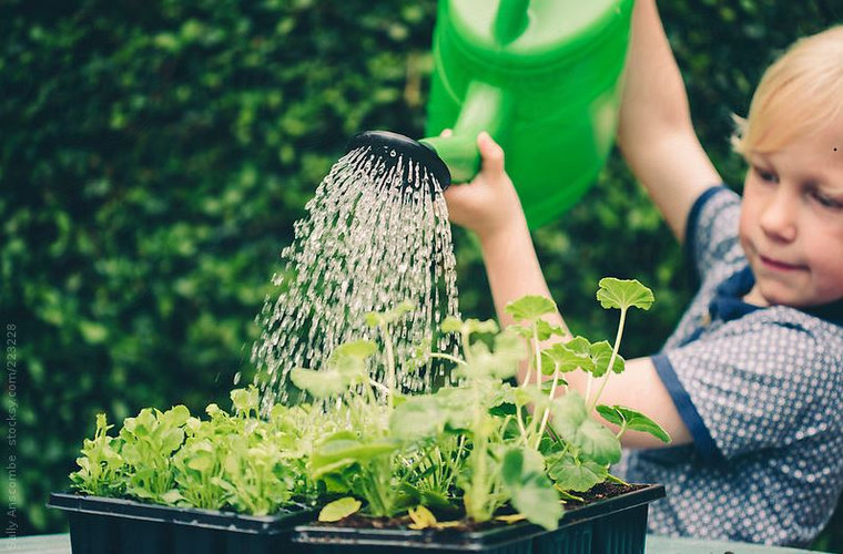 Simple Steps to Reduce Your Water Consumption This Summer