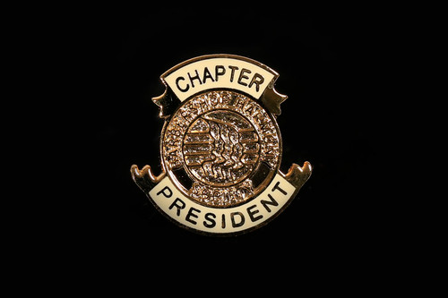 Chapter President Pin
