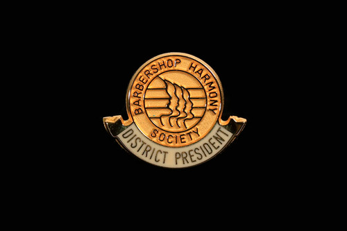 District President Pin