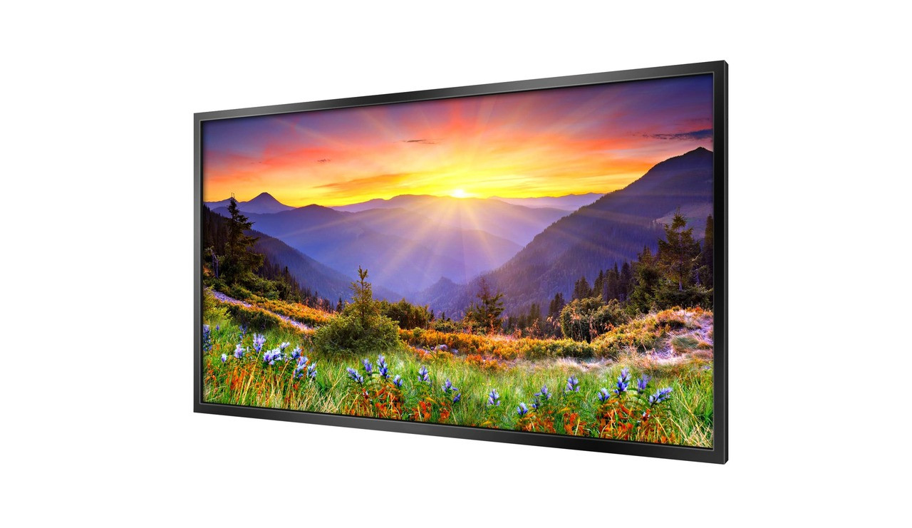 65” High Brightness Professional Monitor Digital Frames Direct