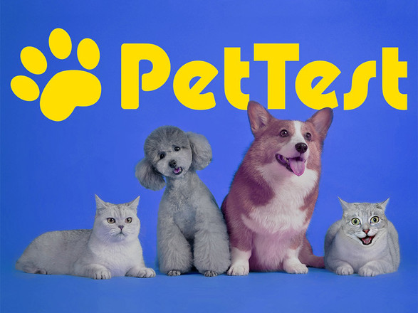 Why you should choose PetTest for your diabetic dog or cat