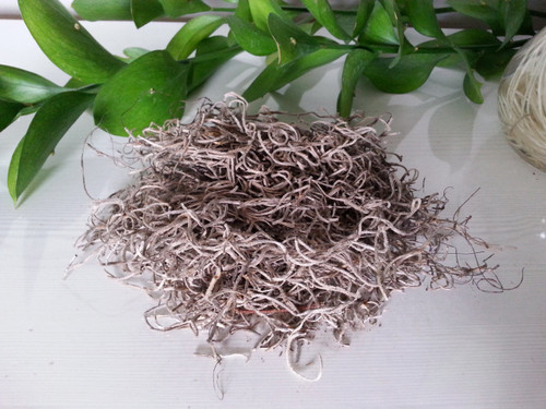 Spanish Moss - Magickal Plants - Faery Magick - Nature's Enlightenment