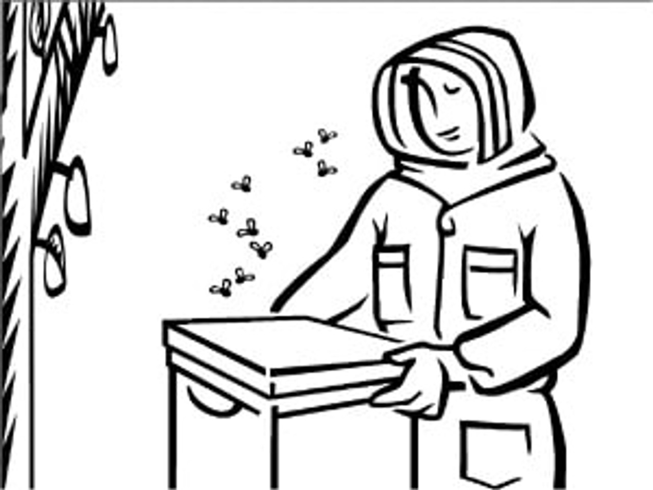 You Know You're A Beekeeper When....