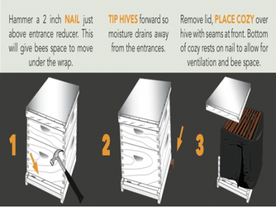 Instructions for using the Bee Cozy Winter Wraps