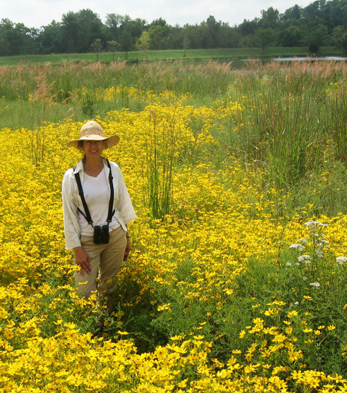 susan lordi field