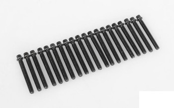 RC4WD Miniature Scale Hex Bolts M2 x 16mm BLACK Z-S1711 Bolt Scale Vaterra Diff RC4WD Miniature Scale Hex Bolts M2 x 16mm BLACK Z-S1711 Bolt Scale Vaterra Diff
