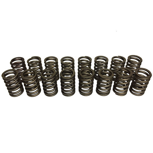 602 Replacement Valve Springs - Set of 16